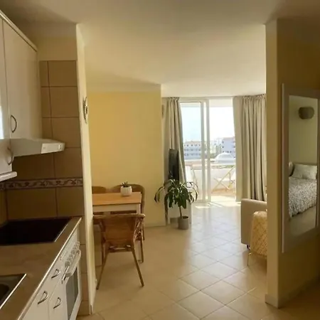 Rinnovato Con 1 Da Letto Gp202 San Miguel de Abona